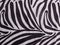 Zebra skin texture