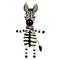 Zebra standing on two legs animal cartoon character vector illustration