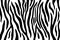 Zebra stripes black and white abstract background.