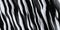 Zebra stripes pattern, seamless high resolution background