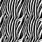 Zebra Stripes Seamless Pattern. Zebra print, animal skin, tiger stripes, abstract pattern, line background, fabric. Amazing hand d