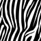 Zebra Stripes Seamless Pattern. Zebra print, animal skin, tiger stripes, abstract pattern, line background, fabric. Amazing hand d