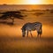 Zebra at sunset in the Serengeti National