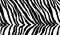 Zebra textile print background texture