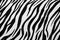 Zebra Textile Texture