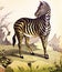 Zebra in a vintage book History of animals, by Shubert/Korn, 1880, St. Petersburg