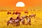 Zebra and wildebeest groups with amazing sunset in african savannah. Serengeti National Park, Tanzania. Wild nature african