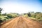 Zebras crossing an african dirt, red road through savanna