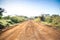 Zebras crossing an african dirt, red road through savanna