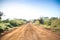 Zebras crossing an african dirt, red road through savanna