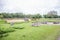 Zebras at Lion Country Safari Park