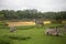 Zebras at Lion Country Safari Park