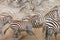 Zebras are running in the dust in motion. Kenya. Tanzania. National Park. Serengeti. Masai Mara.