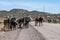 Zebu cows in Gheralta in Tigray, Northern Ethiopia, Africa