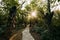 Zeda-gordi, Georgia. View Of Paved Forest Path Leading To Canyon