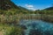 Zelenci lake in Slovenia