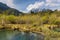 Zelenci springs, Martuljek Mountains in the background