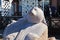 ZELENOGRADSK, KALININGRAD REGION, RUSSIA - APRIL 02, 2019: Sculpture of the seal Rurik on the Zelenogradsk formerly Cranz