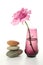 Zen atmosphere, vase and rose