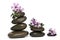 Zen balance and mauve flowers.