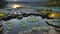 Zen Concept - Spa Stones And Waterlily In Lake At Sunset