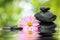 Zen Flower and Stone