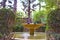 Zen garden in the backyard of a traditional muslim house. Fountain multi-tiered in the garden