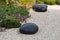 Zen garden dry landscape, or karesansui, japanese rock garden with black stones on white gravel for relaxation and