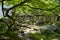 The Zen garden inside Eikan-Do temple. Kyoto Japan