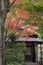 Zen garden at Kodai temple in Kyoto