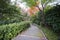 Zen garden at Kodai temple in Kyoto