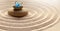 Zen garden meditation stone background and butterfly with stones and lines in sand for relaxation balance and harmony spirituality