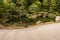 Zen garden with pond and pruned trees