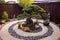 zen garden with pruned bonsai tree in the center