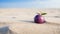 Zen-inspired Purple Plum On Sandy Beach