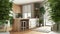 Zen interior with potted bamboo plant, natural interior design concept, living room and kitchen with island, cabinets and