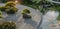 Zen Japanese Garden: a peaceful scene depicting a traditional Japanese garden with a koi pond, meticulously raked gravel