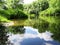 Zen landscape with water rings