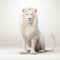 Zen Lion: A Stunning 3d Illustration Of A White Lion On Gray Background