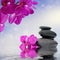 Zen massage stones and orchid flowers reflected in water