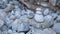 Zen meditation background - balanced stones stack cairn close up on sea beach.