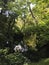 Zen, peaceful outdoor Japanese garden