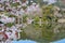 Zen pond garden and cherry tree at Ryoan-ji in Kyoto, focus is on the background