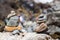 Zen rock arrangement that mimic the Stupa along hiking trail to the mountains of Annapurna, Nepal