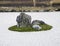 Zen Rock Garden in Ryoanji Temple, Kyoto, Japan