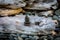 Zen rock stack on driftwood at Ruby Beach, Pacific Northwest