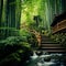 Zen Serenity: Explore the Enchanting Bamboo Forests and Tranquil Temples of Kyoto, Japan