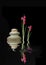 Zen Spa Stones and Red Iris Flowers