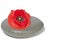 Zen stone with red poppy flower