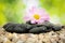 Zen Stones and Flower on Nature